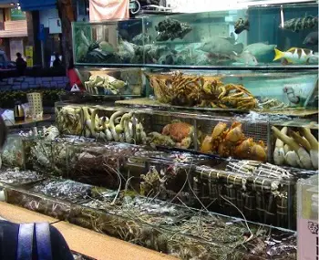 Sai Kung Seafood
