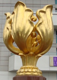 Golden Bauhinia