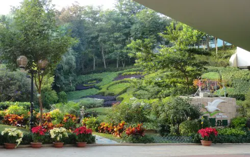 Ma Wan Park Nature Garden