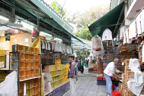 Yuen Po Street Bird Garden